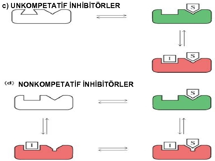 c) UNKOMPETATİF İNHİBİTÖRLER NONKOMPETATİF İNHİBİTÖRLER 