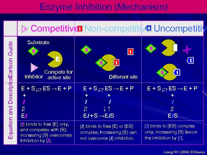 Enzyme Inhibition (Mechanism) Equation and Description Cartoon Guide Competitive Non-competitive Uncompetitive Substrate Compete for