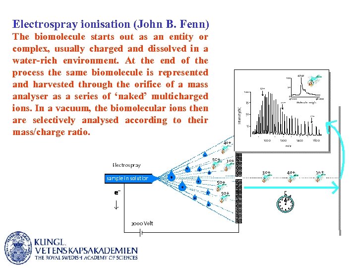 Electrospray ionisation (John B. Fenn) The biomolecule starts out as an entity or complex,