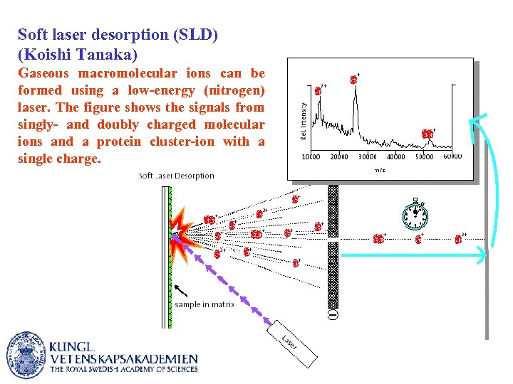 Soft laser desorption (SLD) (Koishi Tanaka) Gaseous macromolecular ions can be formed using a