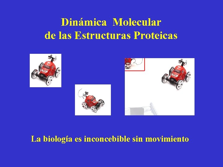 Dinámica Molecular de las Estructuras Proteicas La biología es inconcebible sin movimiento 