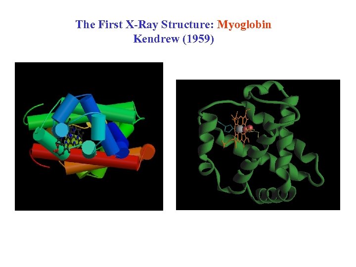 The First X-Ray Structure: Myoglobin Kendrew (1959) 