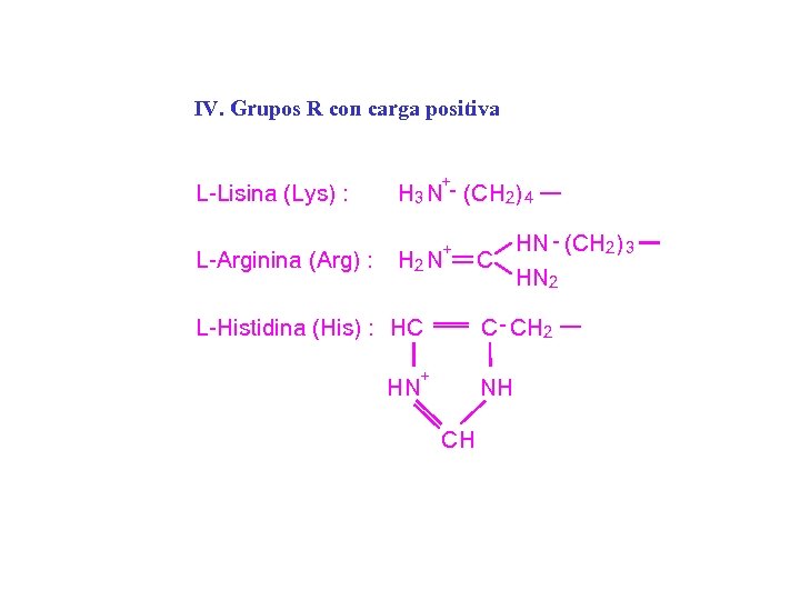 IV. Grupos R con carga positiva L-Lisina (Lys) : L-Arginina (Arg) : + H