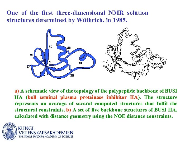 One of the first three-dimensional NMR solution structures determined by Wüthrich, in 1985. a)