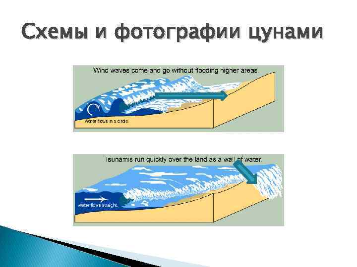 Цунами схема возникновения