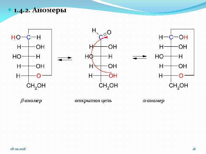  1. 4. 2. Аномеры b-аномер 08. 02. 2018 открытая цепь a-аномер 16 