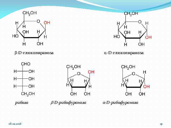 b-D-глюкопираноза a-D-глюкопираноза рибоза 08. 02. 2018 b-D-рибофураноза a-D-рибофураноза 19 