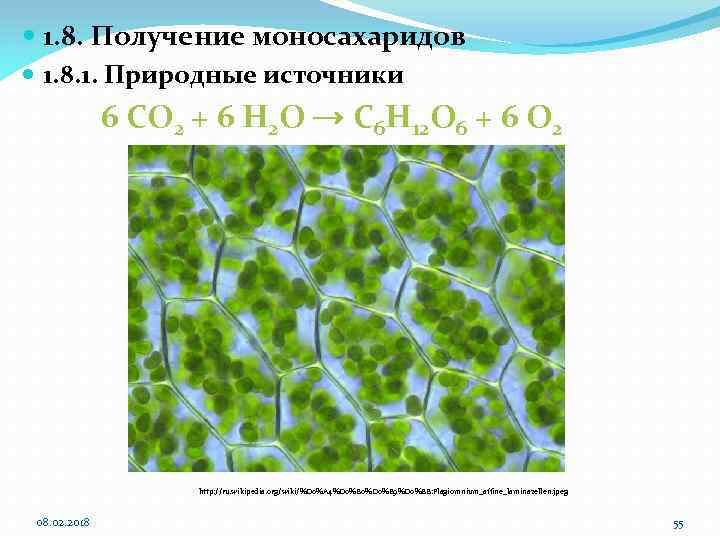  1. 8. Получение моносахаридов 1. 8. 1. Природные источники 6 CO 2 +