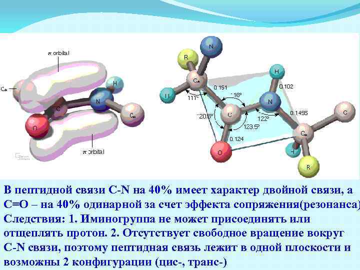 В пептидной связи C-N на 40% имеет характер двойной связи, а С=О – на