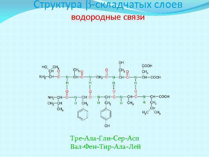 Схема образования дипептида гис гли