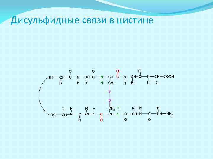 Дисульфидные связи в цистине 