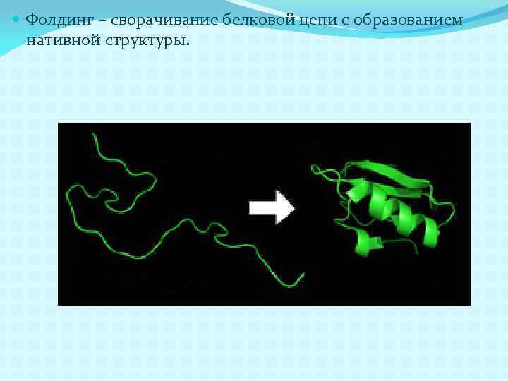  Фолдинг – сворачивание белковой цепи с образованием нативной структуры. 