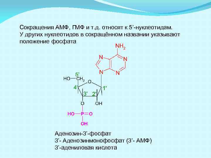 Пептиды презентация 10 класс углубленный уровень - 80 фото