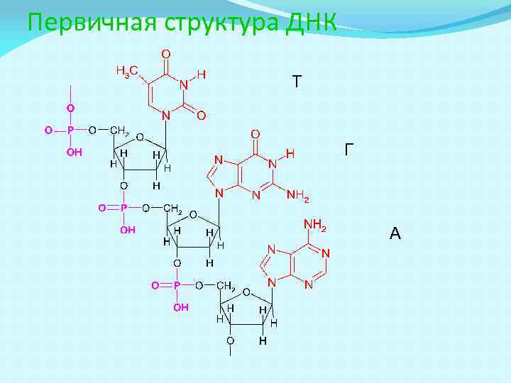 Пептиды презентация 10 класс углубленный уровень - 80 фото