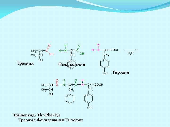 Аланилаланин. Трипептид с метионином. Фенилаланин+лизин. Лизин с ch3i. Трипептид тирозин.
