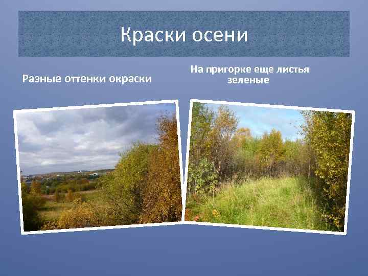 Краски осени Разные оттенки окраски На пригорке еще листья зеленые 