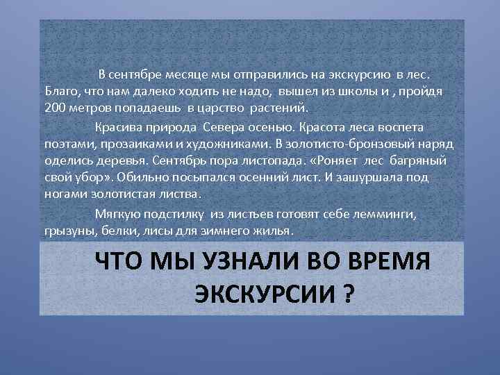 В сентябре месяце мы отправились на экскурсию в лес. Благо, что нам далеко ходить