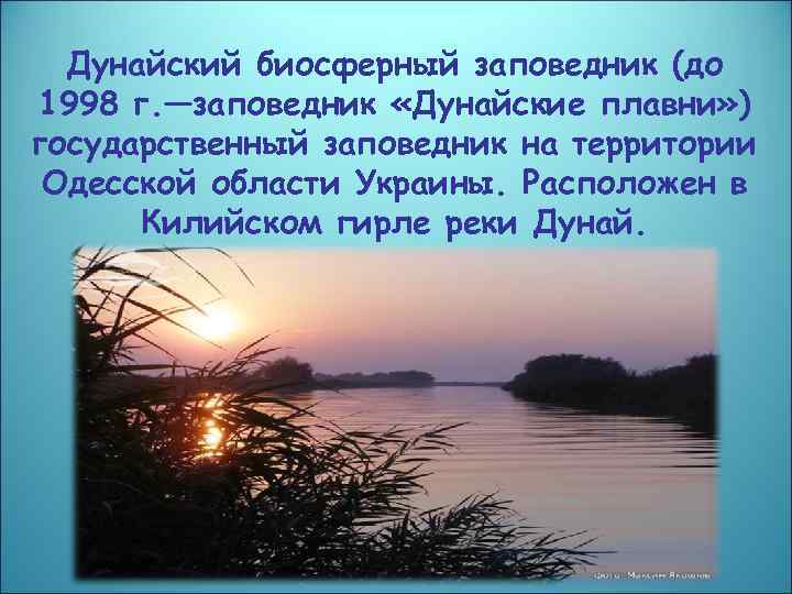 Дунайский биосферный заповедник (до 1998 г. —заповедник «Дунайские плавни» ) государственный заповедник на территории