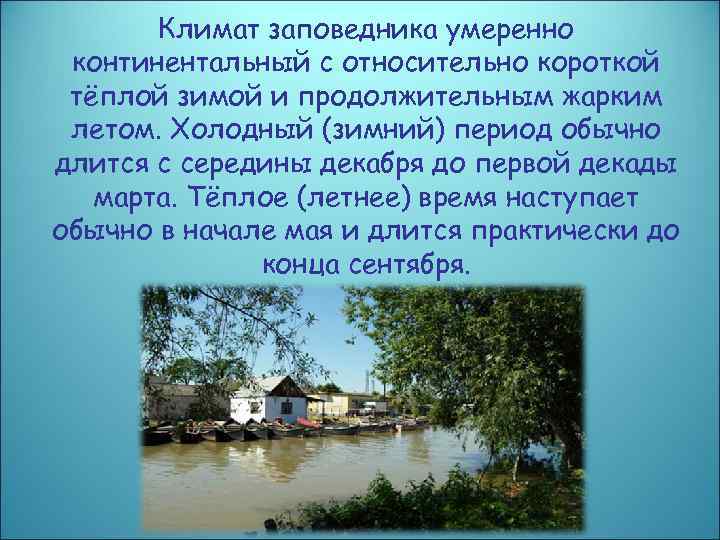 Климат заповедника умеренно континентальный с относительно короткой тёплой зимой и продолжительным жарким летом. Холодный