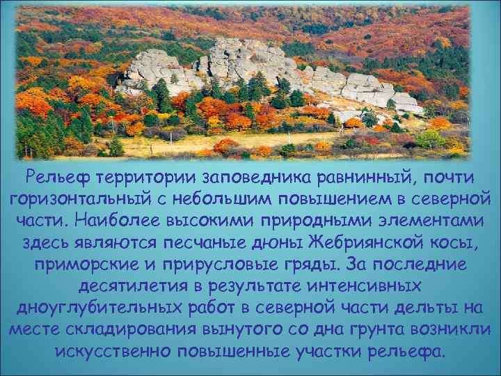 Рельеф территории заповедника равнинный, почти горизонтальный с небольшим повышением в северной части. Наиболее высокими