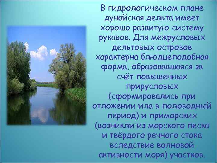 В гидрологическом плане дунайская дельта имеет хорошо развитую систему рукавов. Для межрусловых дельтовых островов