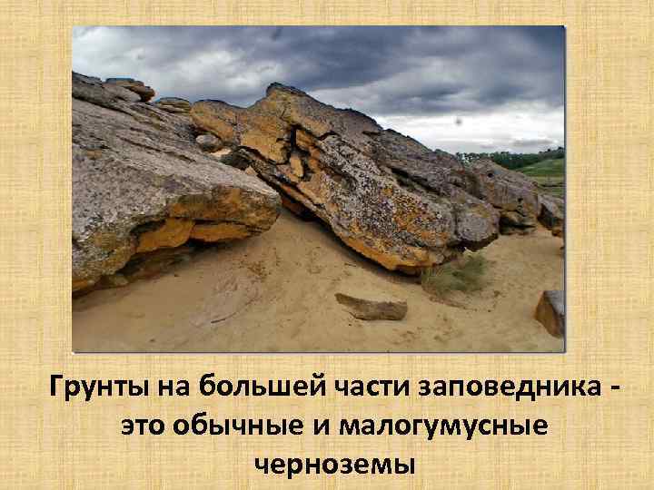 Грунты на большей части заповедника это обычные и малогумусные черноземы 