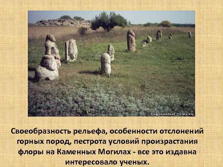 Своеобразность рельефа, особенности отслонений горных пород, пестрота условий произрастания флоры на Каменных Могилах -