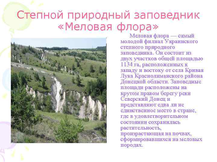 Степной природный заповедник «Меловая флора» Меловая флора — самый молодой филиал Украинского степного природного