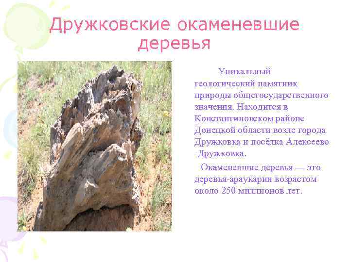 Дружковские окаменевшие деревья Уникальный геологический памятник природы общегосударственного значения. Находится в Константиновском районе Донецкой