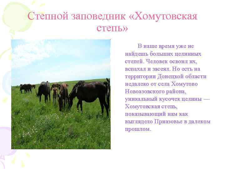 Степной заповедник «Хомутовская степь» В наше время уже не найдешь больших целинных степей. Человек