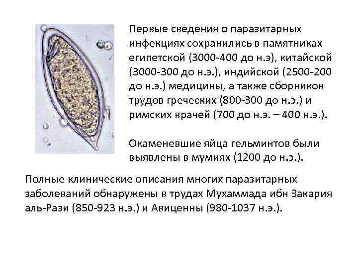 Первые сведения о паразитарных инфекциях сохранились в памятниках египетской (3000 -400 до н. э),