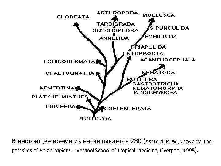 В настоящее время их насчитывается 280 (Ashford, R. W. , Crewe W. The parasites