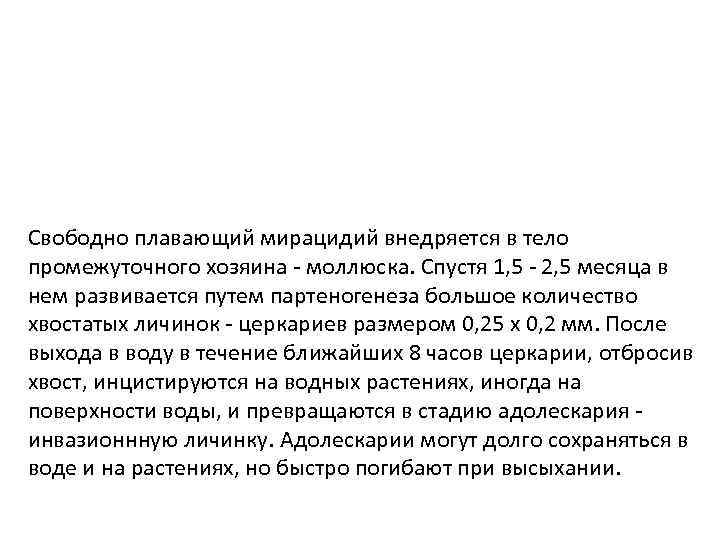 Свободно плавающий мирацидий внедряется в тело промежуточного хозяина - моллюска. Спустя 1, 5 -