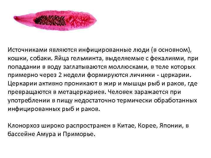 Источниками являются инфицированные люди (в основном), кошки, собаки. Яйца гельминта, выделяемые с фекалиями, при