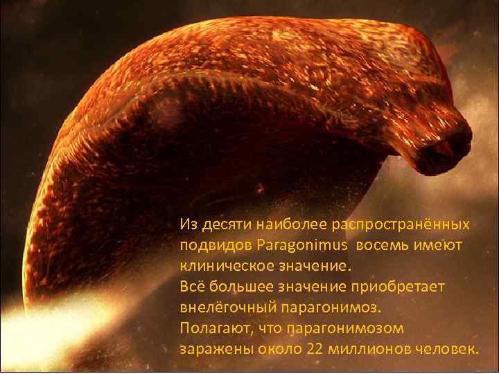 Из десяти наиболее распространённых подвидов Paragonimus восемь имеют клиническое значение. Всё большее значение приобретает