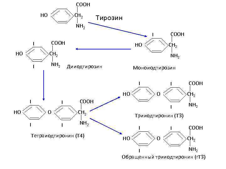 Синтез тирозина. Механизм действия тирозина. Горение тирозина. Синтез тирозина из альдегида. Получение Амида тирозина.