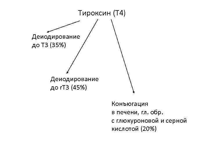 Тироксин (Т 4) Деиодирование до Т 3 (35%) Деиодирование до r. T 3 (45%)