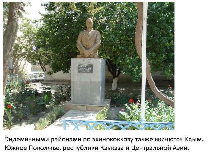 Эндемичными районами по эхинококкозу также являются Крым, Южное Поволжье, республики Кавказа и Центральной Азии.