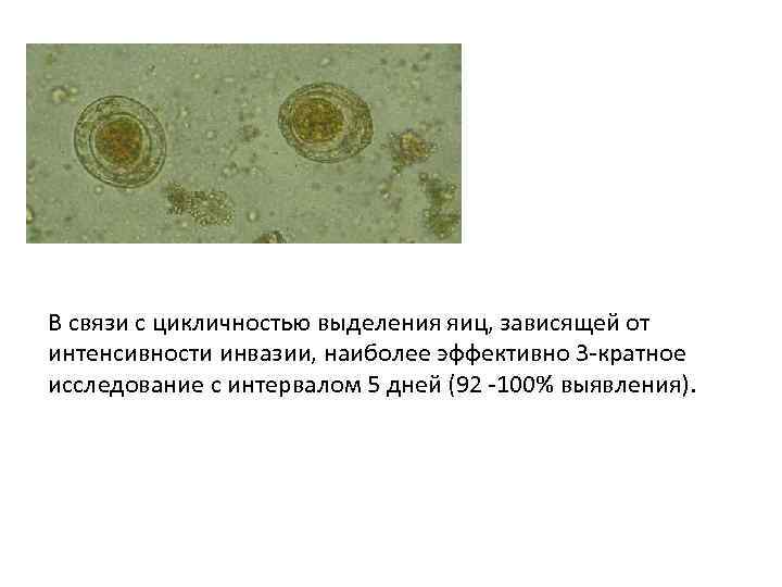 В связи с цикличностью выделения яиц, зависящей от интенсивности инвазии, наиболее эффективно 3 -кратное