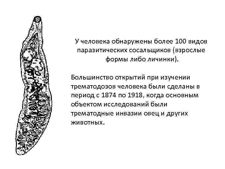 У человека обнаружены более 100 видов паразитических сосальщиков (взрослые формы либо личинки). Большинство открытий