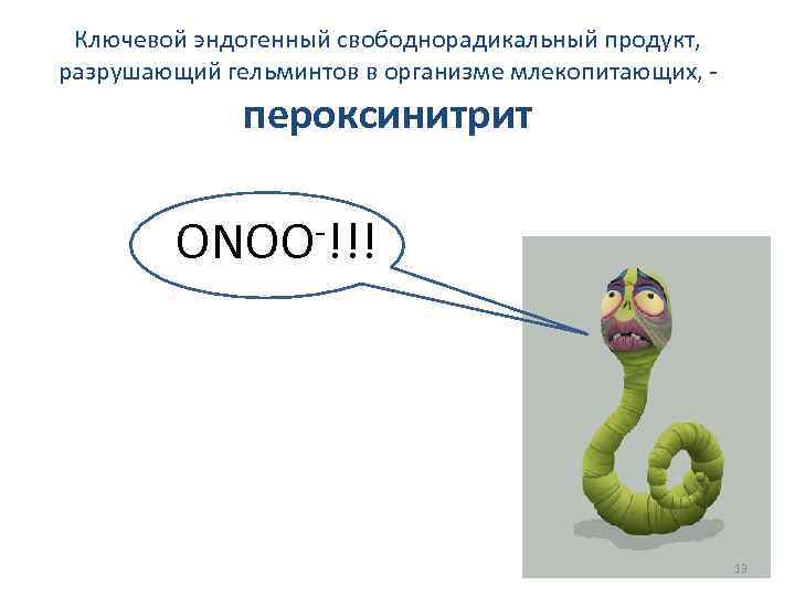 Ключевой эндогенный свободнорадикальный продукт, разрушающий гельминтов в организме млекопитающих, - пероксинитрит -!!! ONOO 13