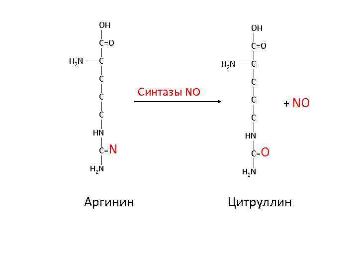 OH C=O H 2 N OH C=O C C C H 2 N Синтазы