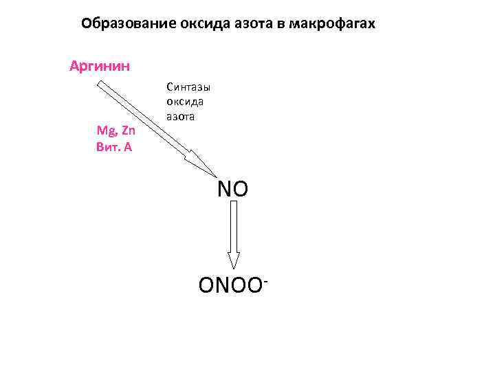 Образование оксидов. Синтез оксида азота из аргинина. Образование оксида азота. Образование окиси азота. Образование монооксида азота.