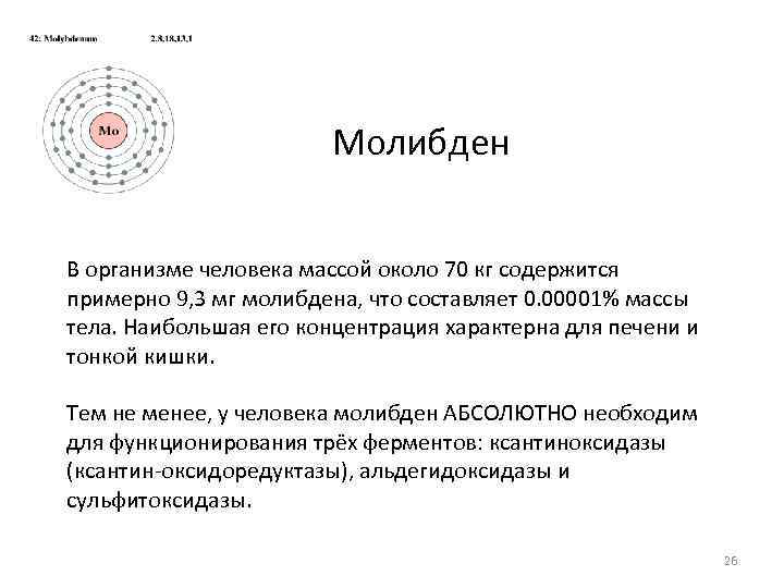 Молибден В организме человека массой около 70 кг содержится примерно 9, 3 мг молибдена,