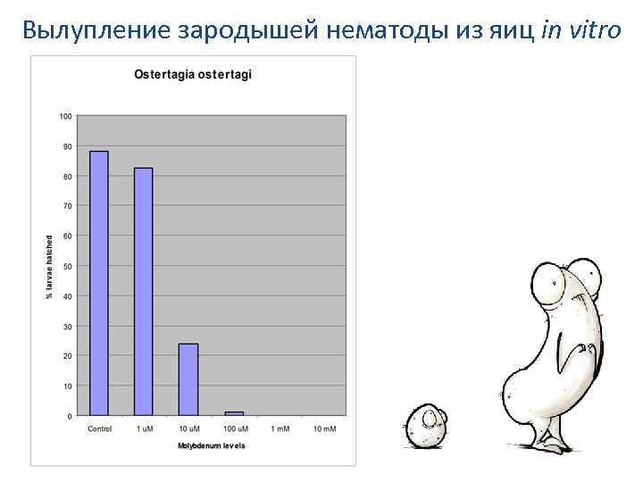 Вылупление зародышей нематоды из яиц in vitro 