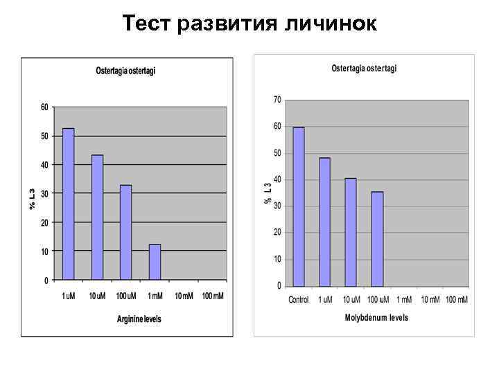 Тест развития личинок 