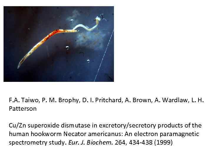 F. A. Taiwo, P. M. Brophy, D. I. Pritchard, A. Brown, A. Wardlaw, L.