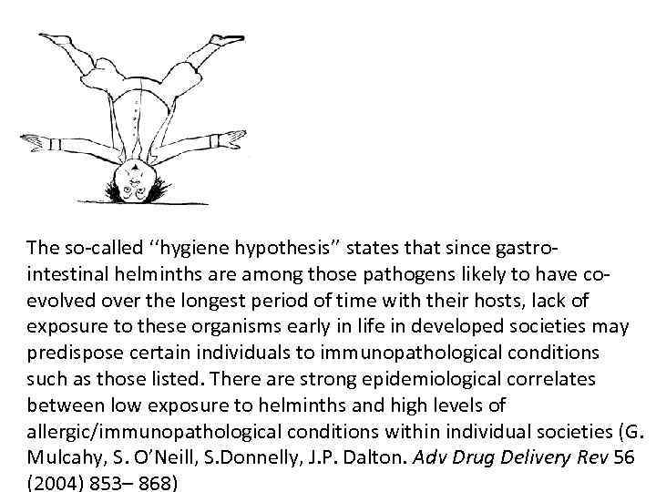 The so-called ‘‘hygiene hypothesis’’ states that since gastrointestinal helminths are among those pathogens likely