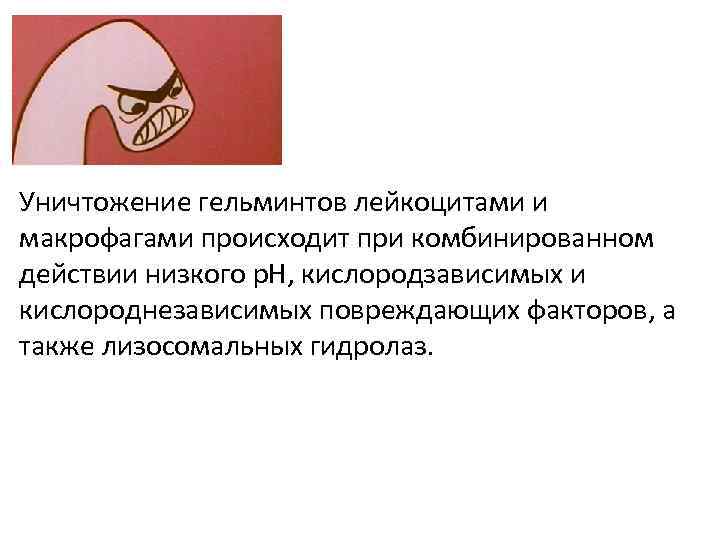 Уничтожение гельминтов лейкоцитами и макрофагами происходит при комбинированном действии низкого р. Н, кислородзависимых и