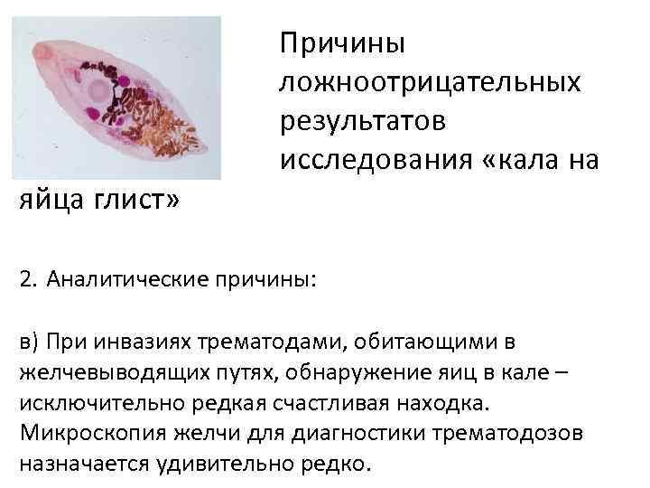 яйца глист» Причины ложноотрицательных результатов исследования «кала на 2. Аналитические причины: в) При инвазиях